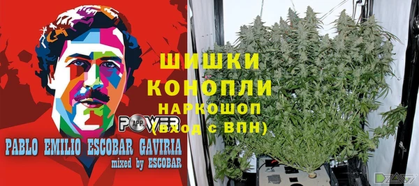 герыч Богородск